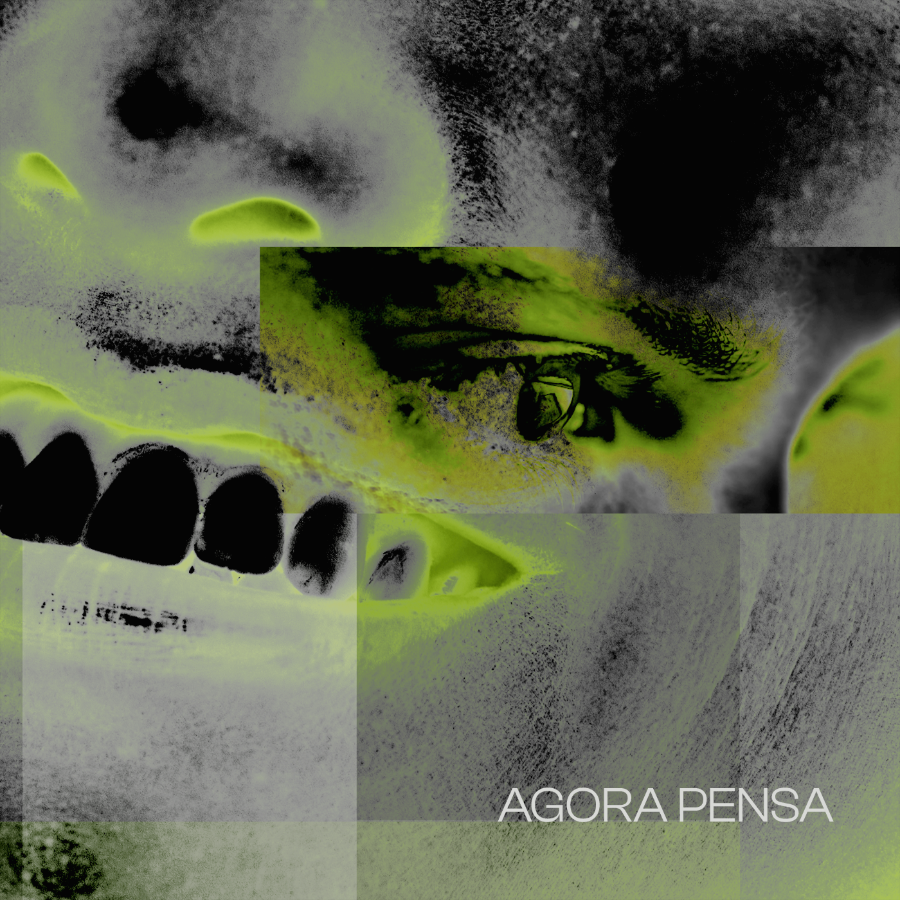 PEIXARANHA AGORA PENSA capa (1)