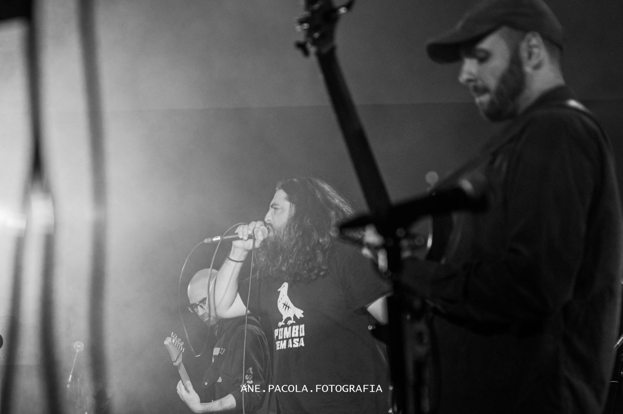 d'Amélia Landscape Live2